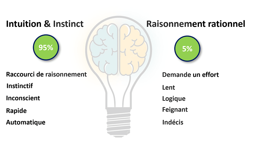 Raisonnement logique versus instinctif