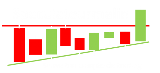 Logo du site internet speculateurmalin.fr